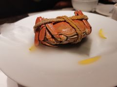 -觀芷隐轩