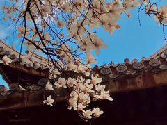 -龙华寺