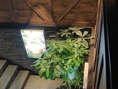 -洞庭土菜小炒馆(易发广场店)