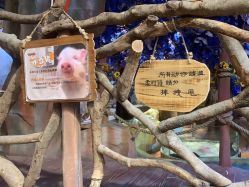 点击看大图 -奇幻萌宠部落(映月湖环宇城店)