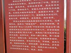 -阳台山自然风景区