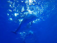 -多彩贵州城极地海洋世界