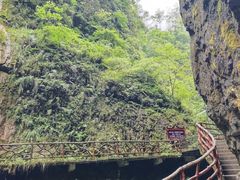 -鹿院坪生态旅游景区