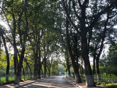 -棒棰岛宾馆景区