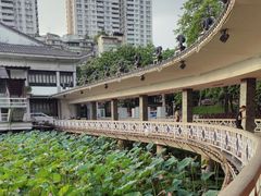 -荔湾湖公园