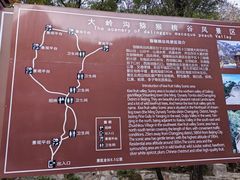 -大岭沟猕猴桃谷风景区