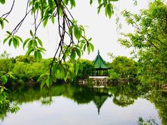 -无锡蠡湖国家湿地公园-蠡园