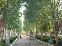 -辛玛王国游乐园