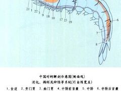 -虾吃虾涮.虾火锅.肉蟹煲(步步高梅溪新天地店)