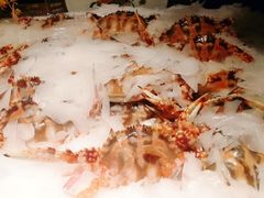 -加餐海鲜自助(宝龙一城店)