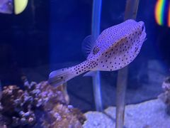 -太平洋海底世界