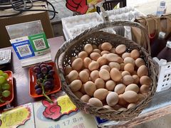 -马陆小张葡萄园农家乐