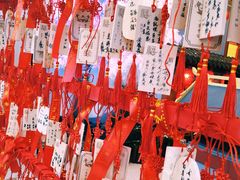 -茶马花街(城西银泰城店)