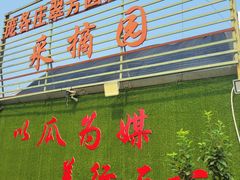 -庞各庄翠芳园西瓜蔬菜基地采摘园