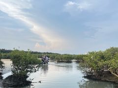 -北海金海湾红树林生态旅游区