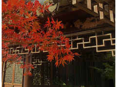 -盘门景区