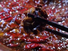 郡花-张嬢嬢老火锅(壹号店•六年店)