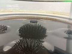 -惠州科技馆