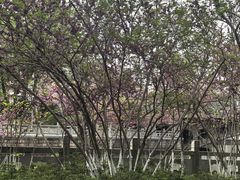 -范蠡湖公园