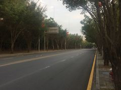 -深圳大学城（南区）体育中心-游泳馆