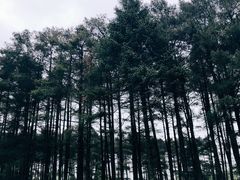 -石棉县孟获城