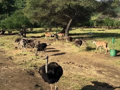 -卡塞拉自然公园