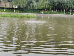 -中国农业博物馆