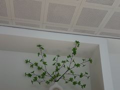 -极简口腔(总院)