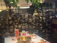 -天山醉美辣子鸡(文艺路店)