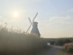 -宁波杭州湾国家湿地公园