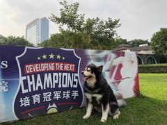 -观澜湖生态运动公社