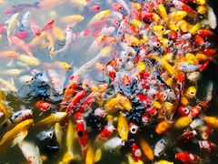 -泰安地下龙宫景区