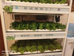 -北京全聚德(西客站店)