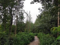 -白鹭湾湿地公园