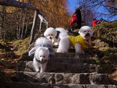 -硗碛藏寨·神木垒景区