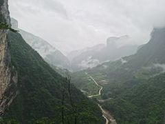 -鹿院坪生态旅游景区