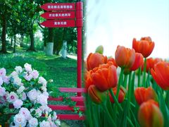 -上海鲜花港