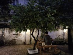 -微饮cafe