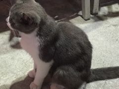 -MIKAKU(万达广场上海宝山店)