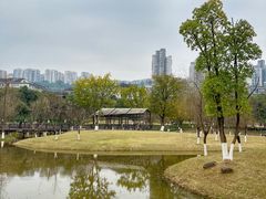 -沐仙湖湿地公园