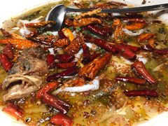 -九毛九西北菜(大东海店)