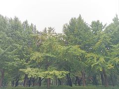 -玲珑塔公园