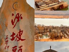 -宁夏博物馆