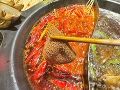 -蜀大侠火锅(总府路店)