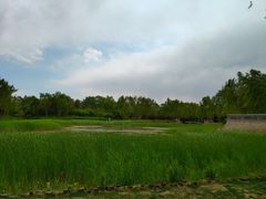 -北坞公园