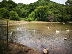 -大水川景区