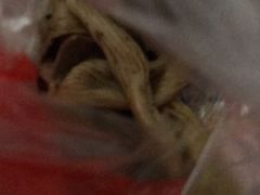 -绝味鸭脖(曲阳路二店)