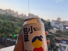 -包整·丝娃娃(甲秀楼景观店)