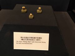 -北京周口店北京人遗址博物馆