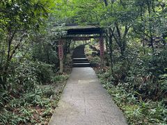 -浙北大峡谷